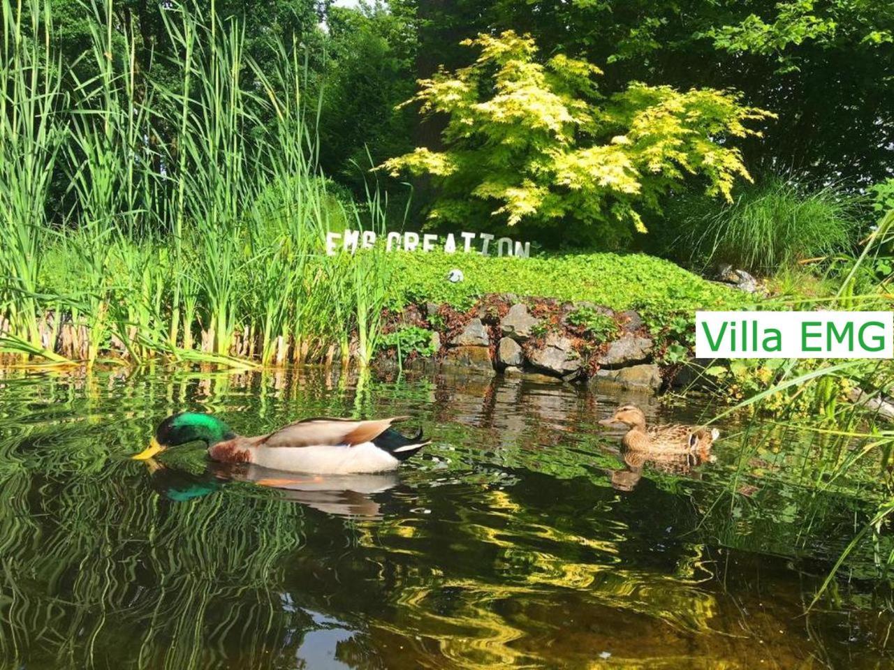 Villa EMG Emsdetten Esterno foto